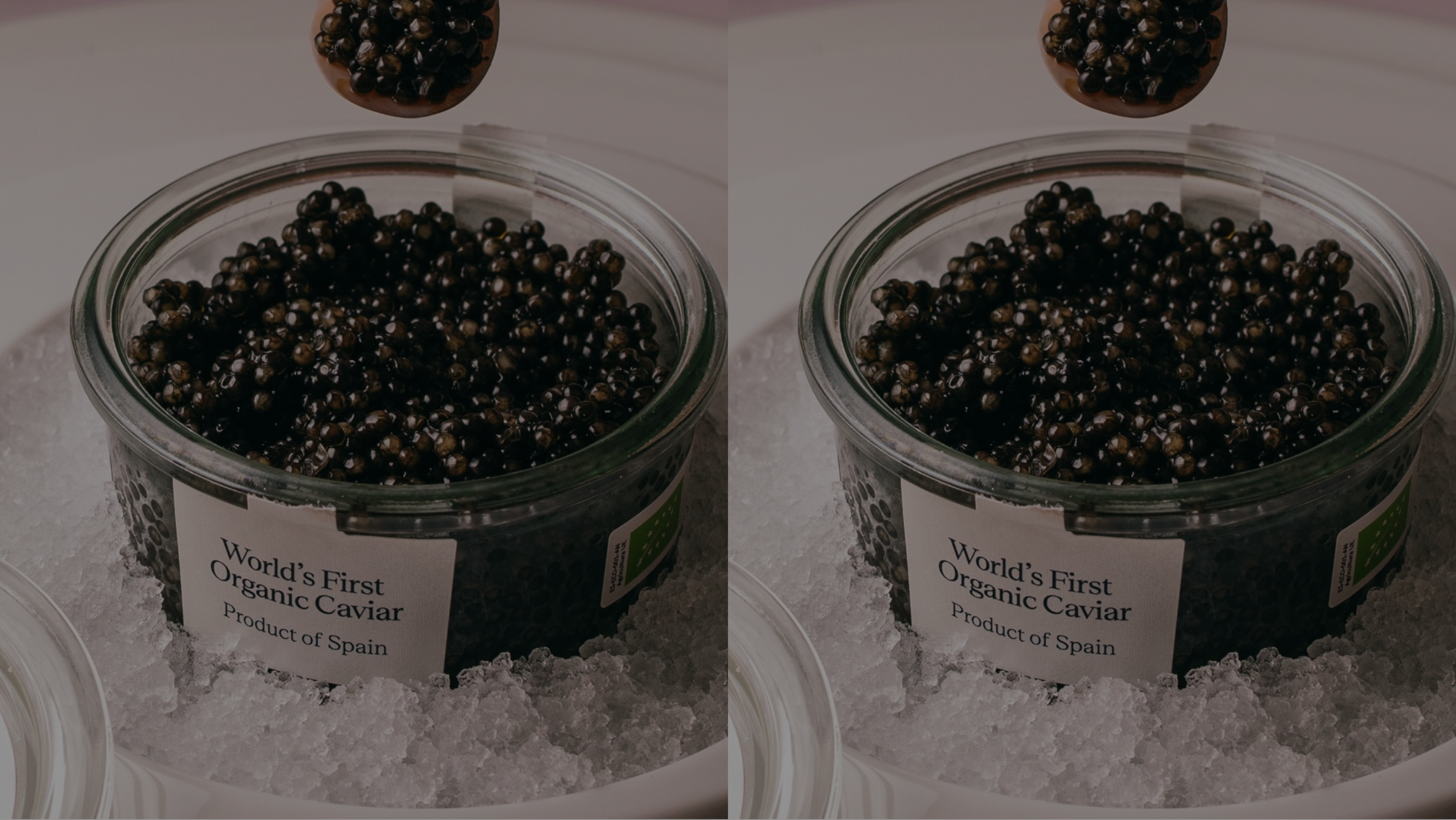 BANNER Caviar.png
